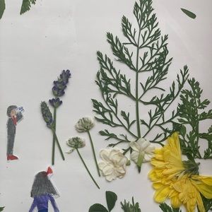 Meet your Posher, Sandhya